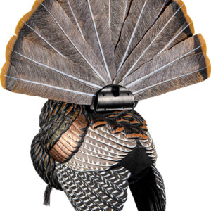 AVIAN X HDR STRUTTER DECOY