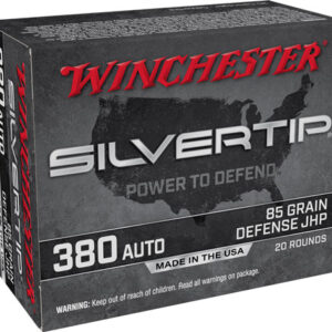 WINCHESTER SILVERTIP 380 ACP