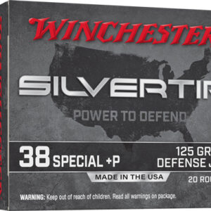WINCHESTER SILVERTIP 38