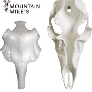MOUNTAIN MIKE'S DEER SKULL