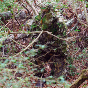 TITAN LEAFY SUIT MOSSY OAK