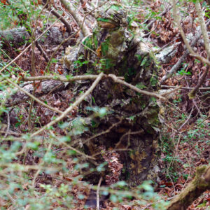 TITAN LEAFY SUIT MOSSY OAK