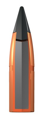 WINCHESTER DEER XP 308 WIN